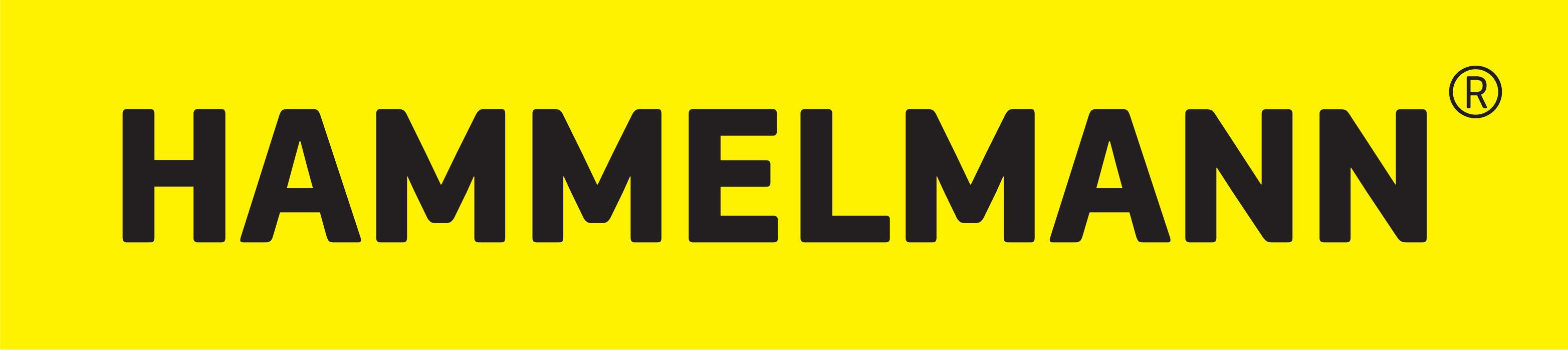 Logo Hammelmann